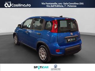 FIAT Panda usata, con Airbag laterali