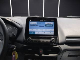 FORD EcoSport usata, con Bracciolo