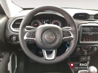 JEEP Renegade usata, con Park Distance Control