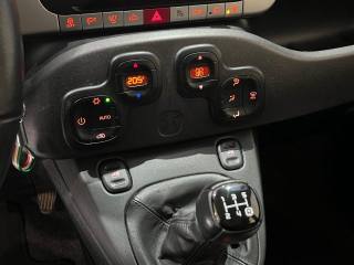 FIAT Panda Cross usata, con Controllo automatico clima