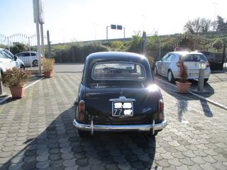FIAT 1100 usata 10