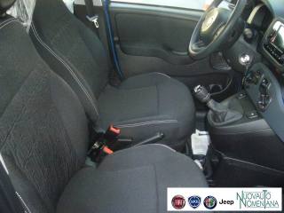 FIAT Panda usata 24