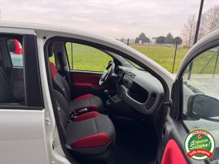 FIAT Panda usata, con Immobilizzatore elettronico