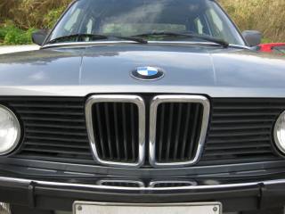 BMW 520 usata 48