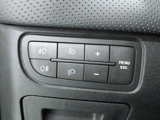 FIAT Punto Evo usata 17