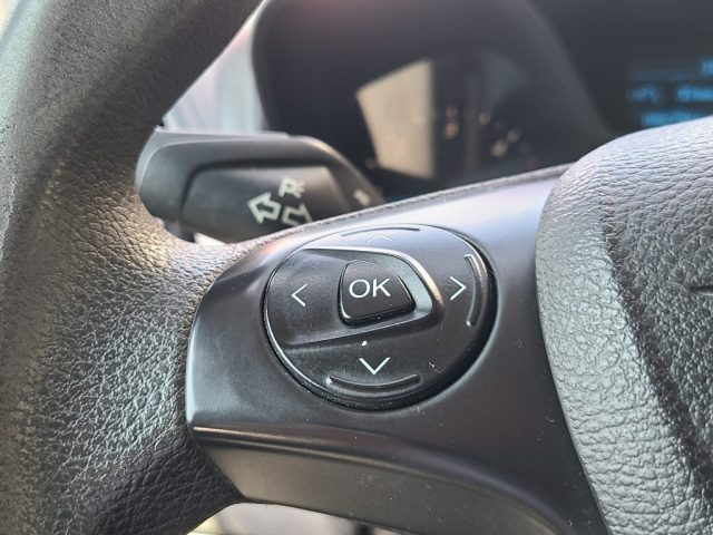 FORD Transit Connect usata, con USB