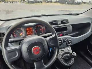 FIAT Panda usata 12