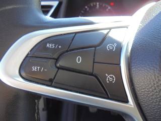 RENAULT Clio usata 33