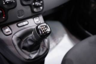 FIAT New Panda usata 15