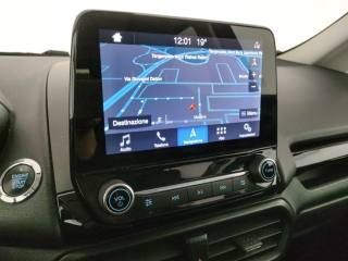 FORD EcoSport usata, con Fendinebbia