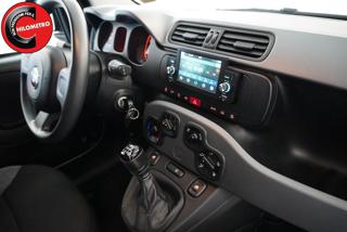 FIAT Panda Cross usata, con Servosterzo