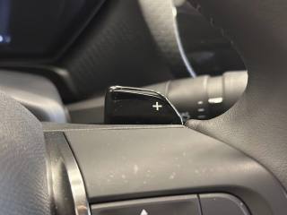 CITROEN C5 X usata, con Volante in pelle