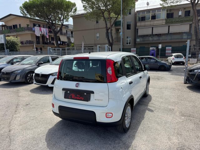 FIAT Panda usata, con Airbag Passeggero