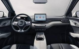 BYD Dolphin Surf usata, con USB