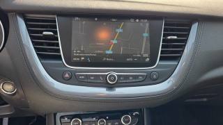 OPEL Grandland X usata, con Vetri oscurati