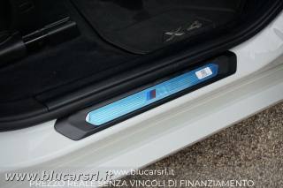 BMW X4 usata 25