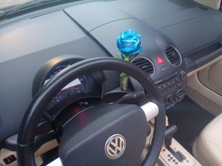 VOLKSWAGEN New Beetle usata, con Adatto a portatori di handicap