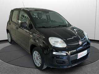 FIAT Panda usata 17