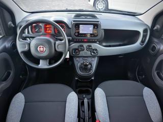 FIAT Panda usata, con Vivavoce