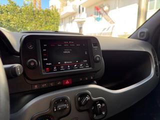 FIAT Panda usata 32