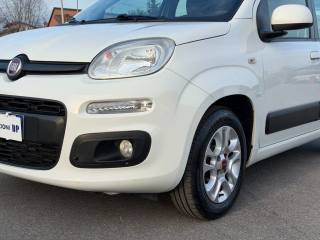 FIAT Panda usata 14