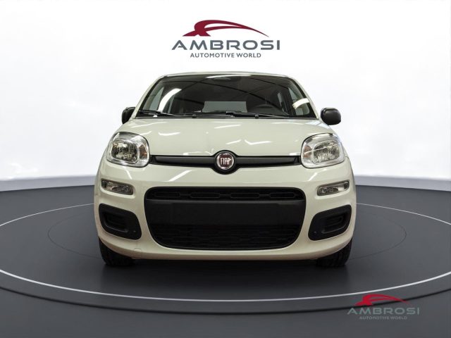 FIAT Panda usata 6
