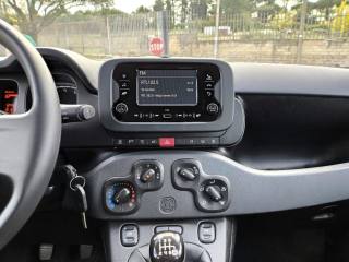 FIAT Panda usata 8