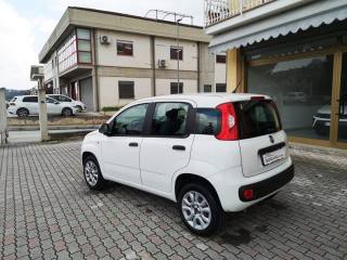 FIAT Panda usata, con Airbag Passeggero