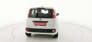 FIAT Panda usata 54