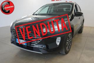 FORD Kuga 1.5 EcoBlue 120 CV 2WD Titanium Business