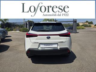 LEXUS UX 250h usata, con Alzacristalli elettrici
