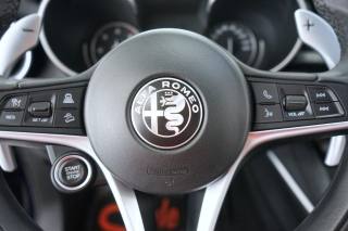 ALFA ROMEO Stelvio usata 49