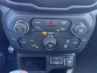 JEEP Renegade usata, con Cruise Control