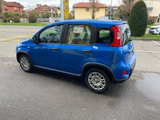 FIAT Panda usata, con Autoradio