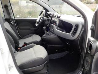 FIAT Panda usata 30