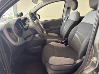 FIAT Panda usata 16