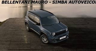 JEEP Renegade usata, con Cerchi in lega