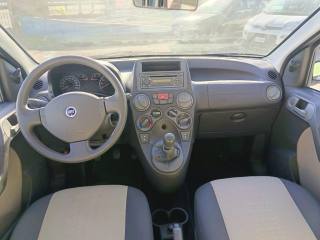 FIAT Panda usata 9