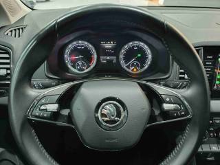 SKODA Karoq usata, con Autoradio digitale