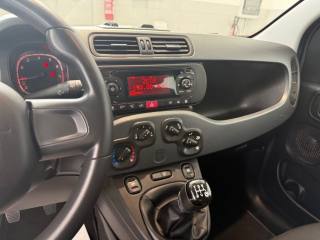 FIAT Panda usata 17