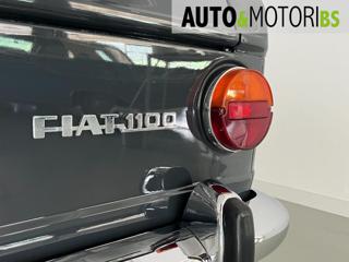 FIAT 1100 usata 20