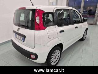 FIAT Panda usata, con Cronologia tagliandi