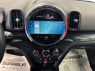 MINI Countryman usata, con Park Distance Control