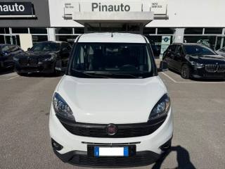 FIAT Doblo Doblò 1.6 MJT 120CV S&S PL Combi Maxi N1