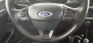 FORD Fiesta usata 41