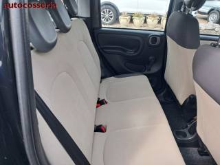 FIAT Panda usata, con Antifurto