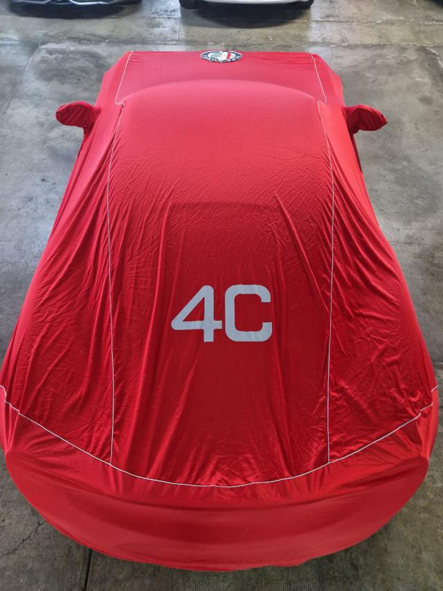ALFA ROMEO 4C usata 39