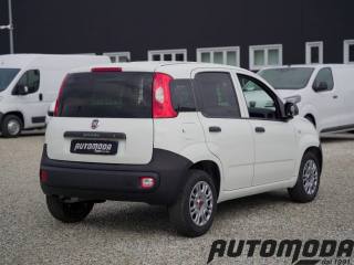 FIAT Panda usata, con Airbag Passeggero