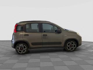 FIAT Panda usata 5