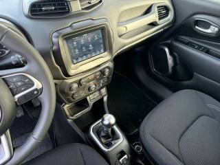 JEEP Renegade usata, con Bracciolo